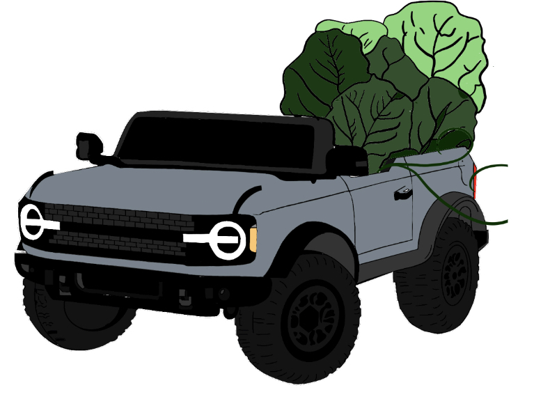 Hand Drawn Bronco Rover with Collard Greens displaying on top.