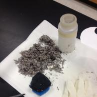 Examining Filtration Media after testing